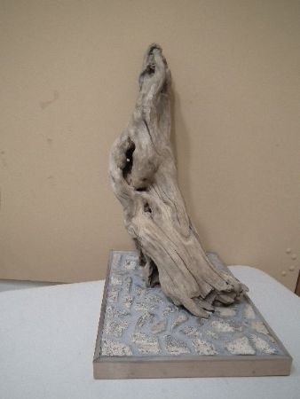 122010_stefano-capomagi21